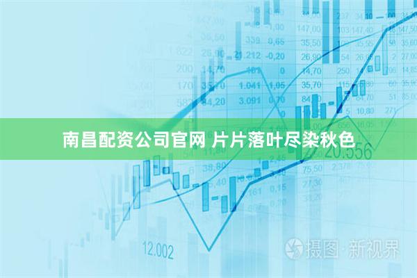 南昌配资公司官网 片片落叶尽染秋色