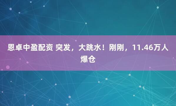 恩卓中盈配资 突发，大跳水！刚刚，11.46万人爆仓