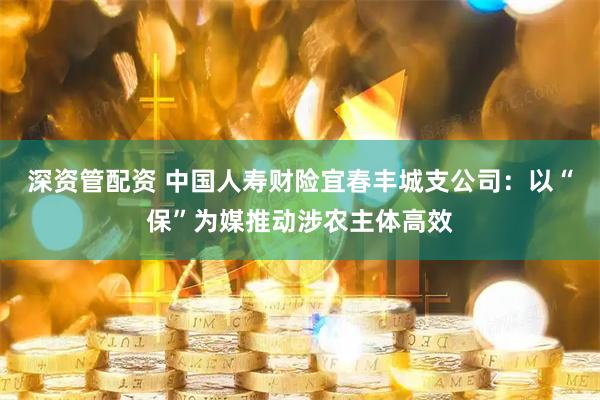 深资管配资 中国人寿财险宜春丰城支公司：以“保”为媒推动涉农主体高效